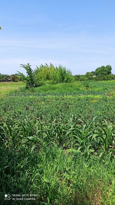 Приватизована земельна ділянка під забудову