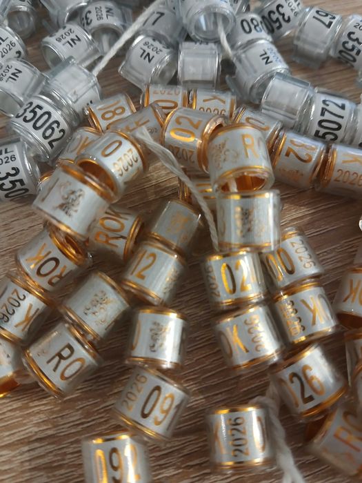 Obrączki dla gołębi pocztowych 2026