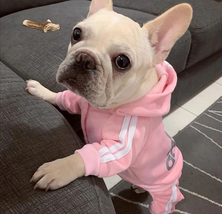 Тёплая толстовка для маленького питомца