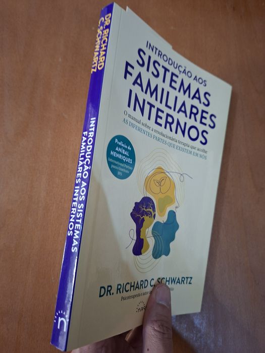 Sistemas Familiares Internos