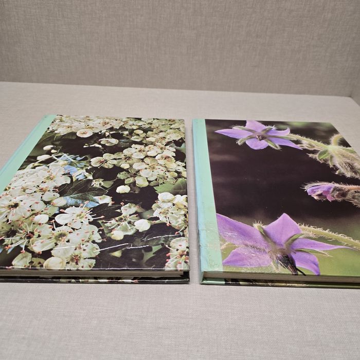 Colecção As Plantas Nossas Amigas