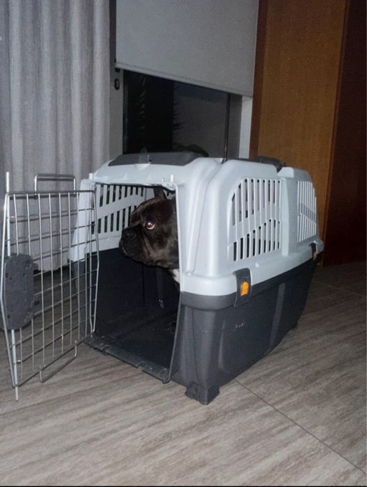 Transportadora SKUDO Porte Médio