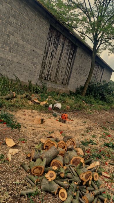 Oferuję kompleksowe usługi