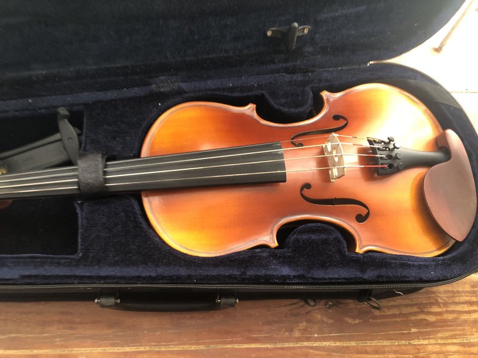 Violino com cordas de violeta