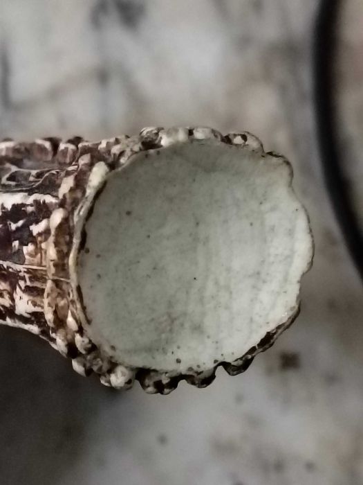 Saca rolhas de corno de veado antigo