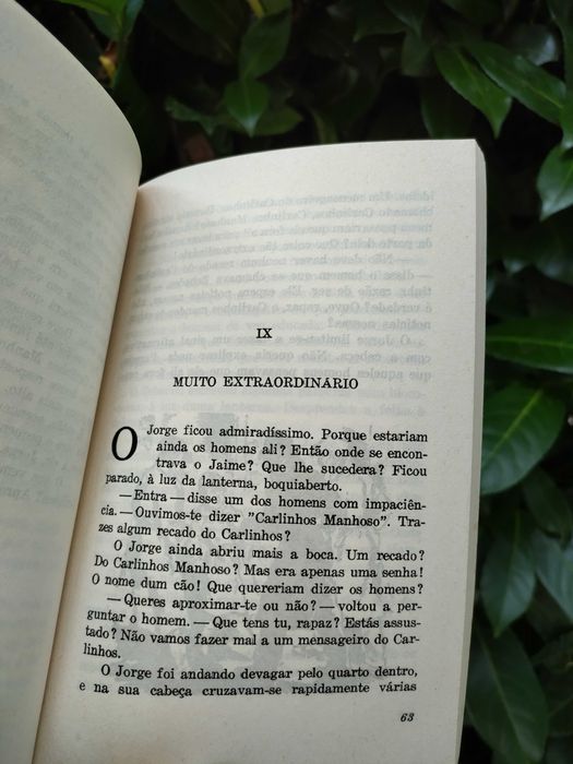 Os Sete e os seus Rivais (Enid Blyton)