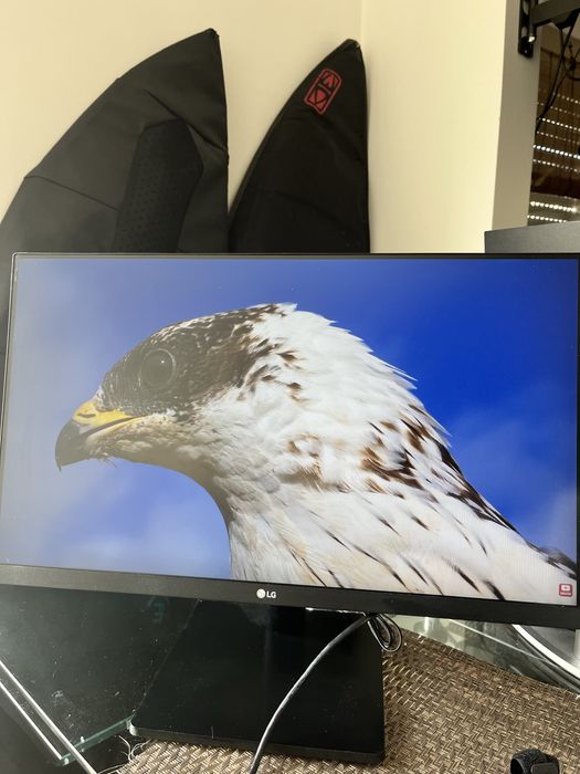 Monitor LG 24MP500-B (24" - Full HD - LED IPS - AMD)