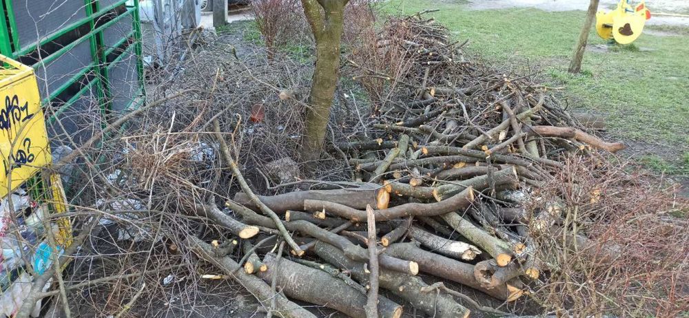 Порізка,чистка ділянок,обрізка дерев, корчування коріння