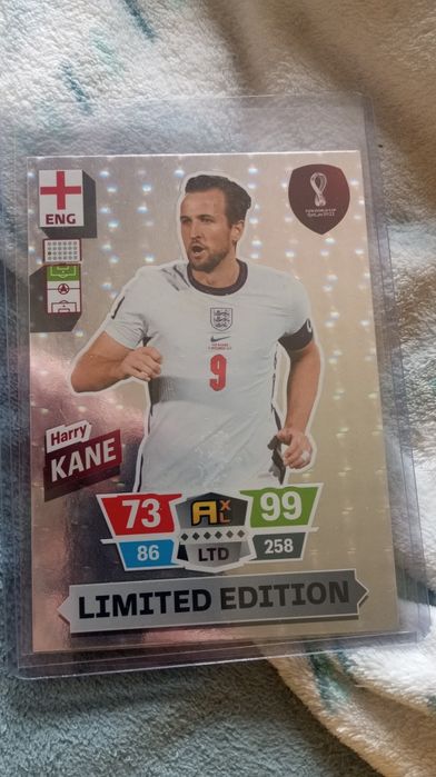 2 limited edition novas
