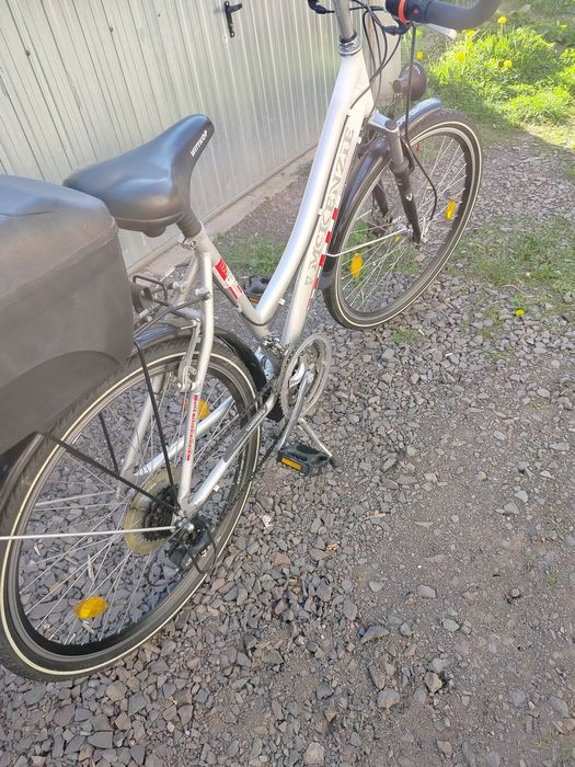 Mackenzie 26 damsko męski