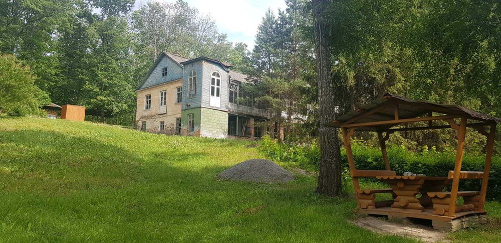 Продам будинок + парк 2 Га в Старому Мерчику | варіант для себе та бізнесу