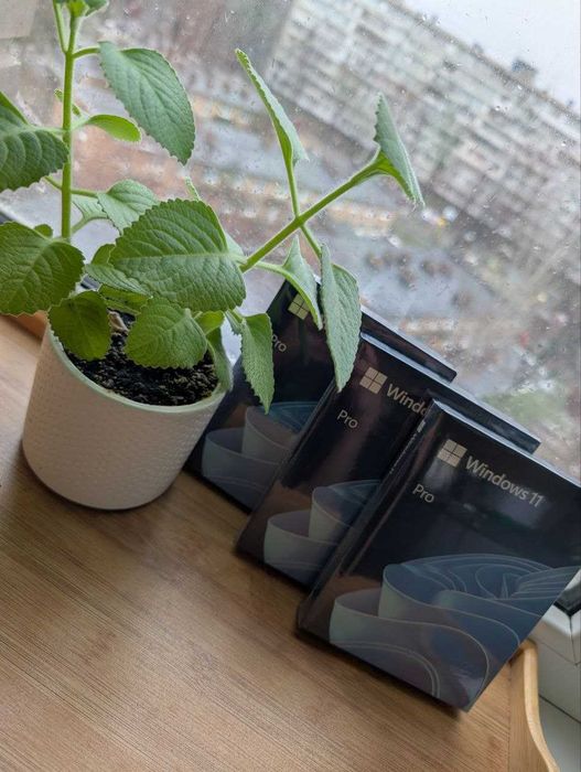 Боксова Windows 11 Pro BOX USB Оригінал Віндовс Активація Коробка VIP