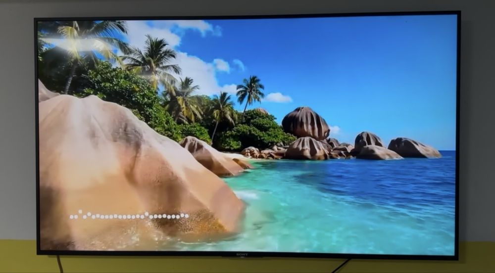 Телевізор55 Sony