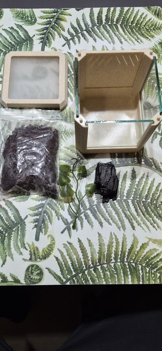 Terrarium super zestaw startowy