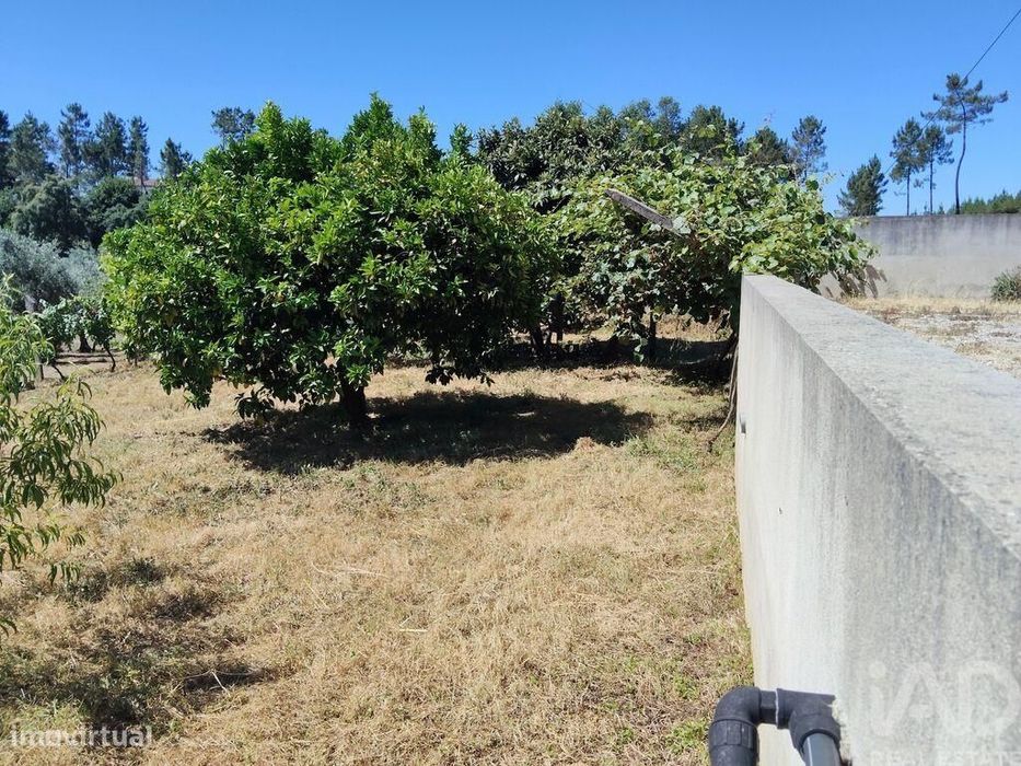 Terreno em Castelo