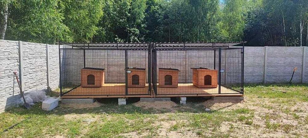 KOJEC dla psa – pies mówi „biorę” | transport montaż gratis