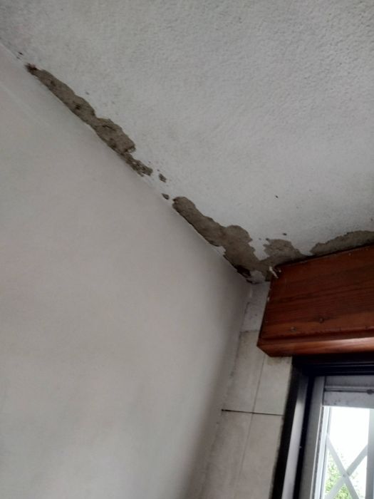 Faço Obras e Remodelações | Pladur, Pintura, Ladrilho e Alvenaria
