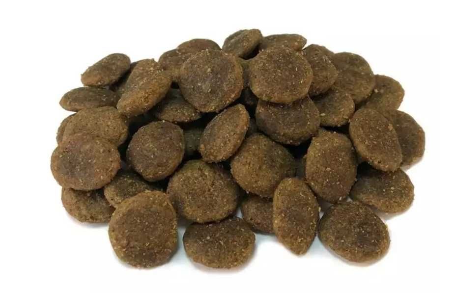 Karma dla psa bez glutenu Arquivet GRAIN FREE Indyk z warzywami 12 kg