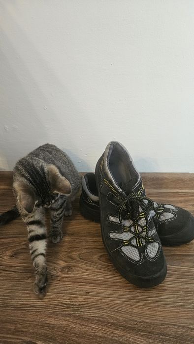 Buty robocze używane