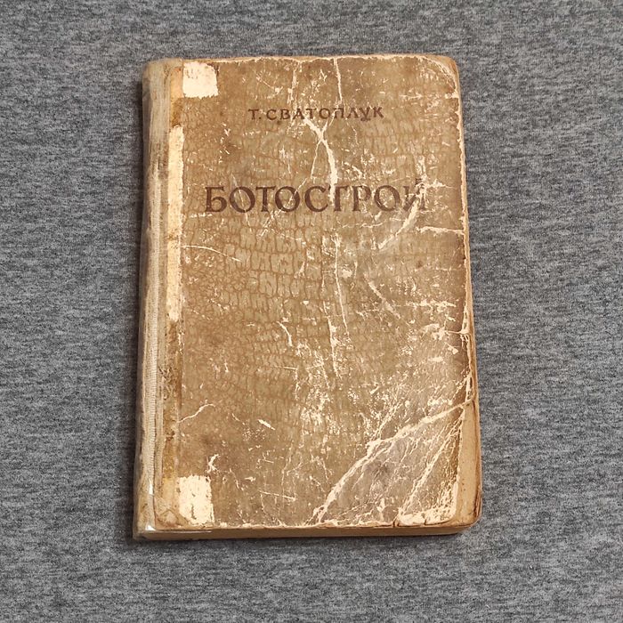 Т. Святоплук. Ботострой