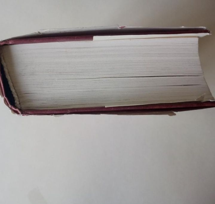 З.Фосдик, "Мои учителя. Встречи с Рерихами."