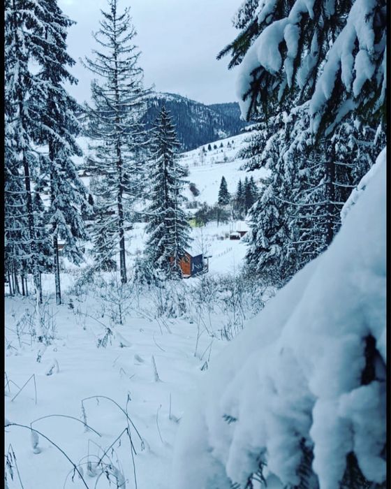 Котедж Armat  Волосянка Будинок оренда Волосянка Славське