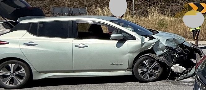 Nissan LEAF salvado