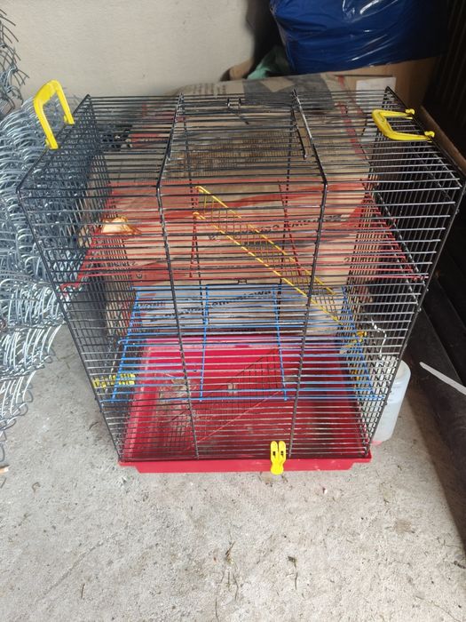 klatka piętrowa dla gryzoni