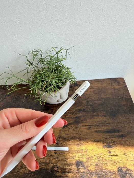 Rysik Apple Pencil USB C