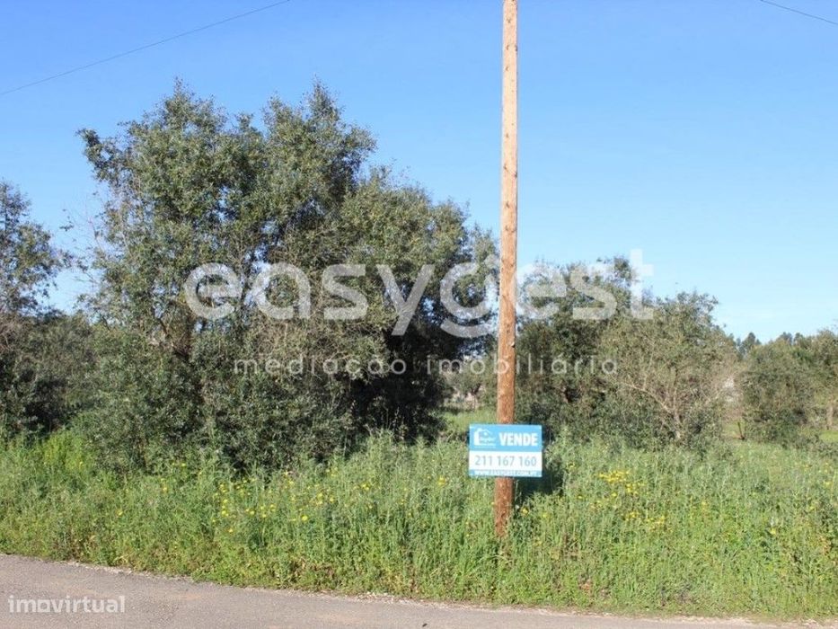 Terrenos com 10720 m2 na localidade Grou freguesia da Asseiceira