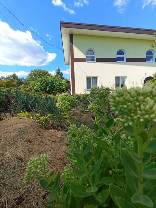 Нерухомість в місті Кам’янське