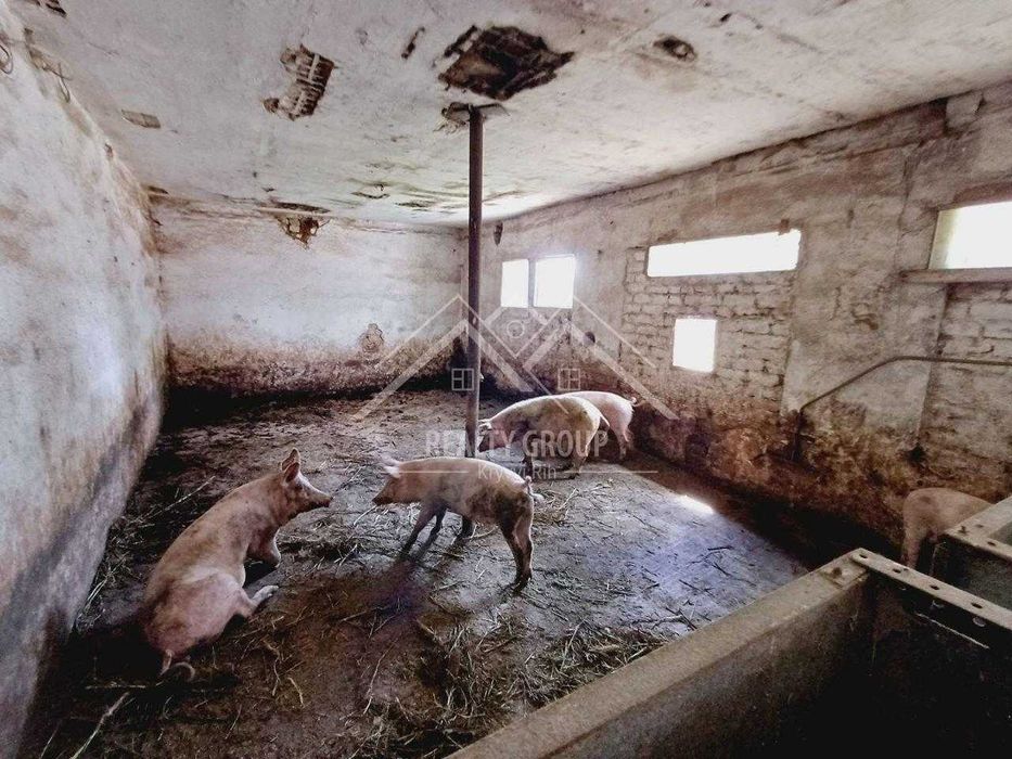 Продаж приміщення під склад, ферму, виробництво поряд залізниця.