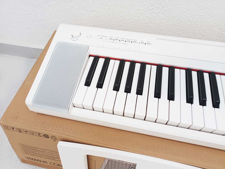 Teclado Yamaha NP-15 Piaggero