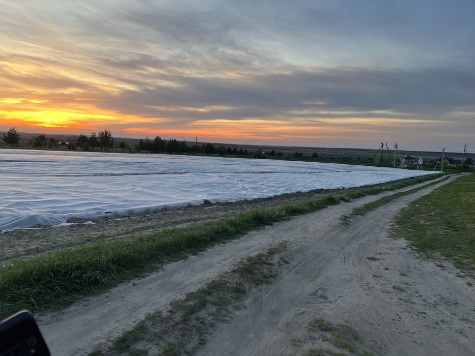 Продам ділянку с.Глинськ біля лісу