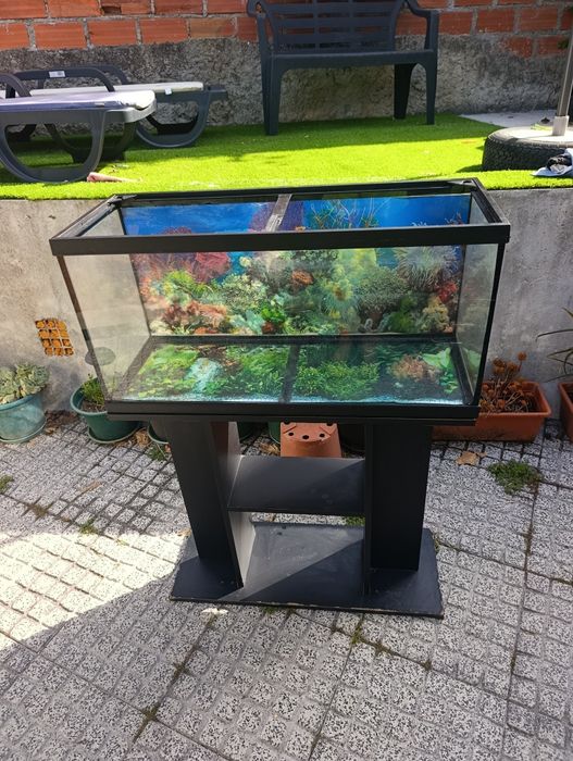 Aquário de água quente