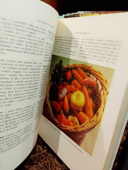 As plantas nossas amigas - Amigos do Livro (Coleção completa - 8 vol.)