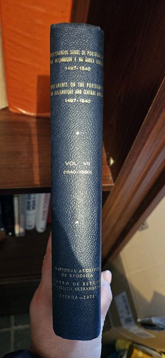 Documentos sobre os portugueses em Moçambique  e África Central