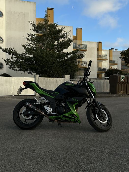 Kawasaki Z300 - Carta A2