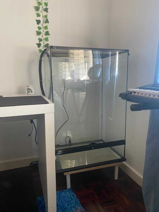 Terrário (Terrario para réptil como camaleão)