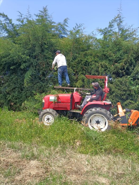Serviço de Jardinagem e Limpeza de Terrenos