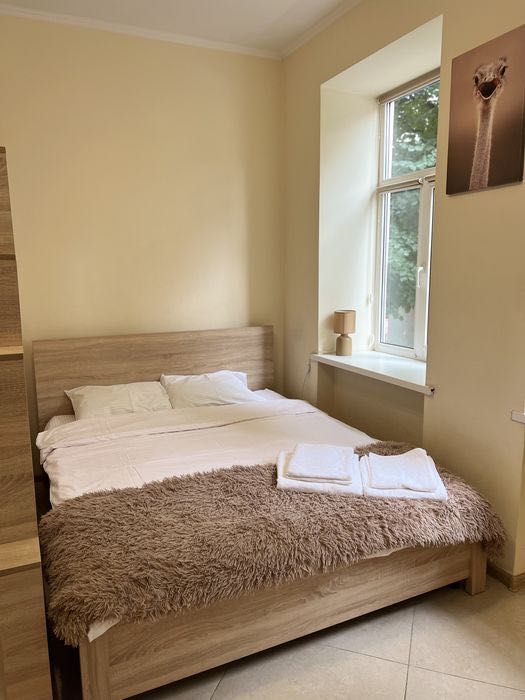 Комфортна та затишна квартира в центрі