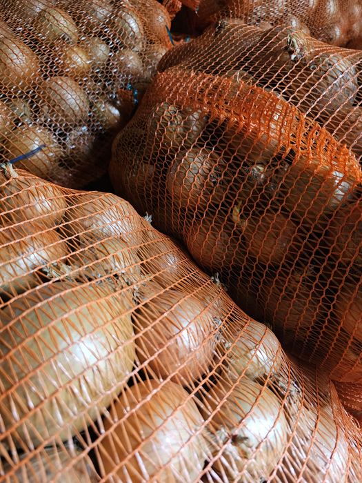 Cebula sucha zdrowa ręcznie wybierana