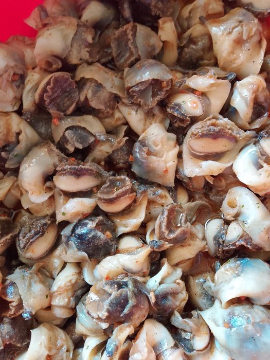 Рапани мариновані 1300грн 1 кг