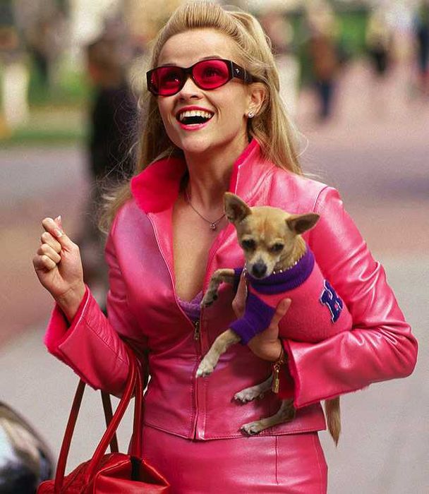 LEGALMENTE LOURA 1 e 2 (Reese Witherspoon/Luke Wilson) E inteligência?