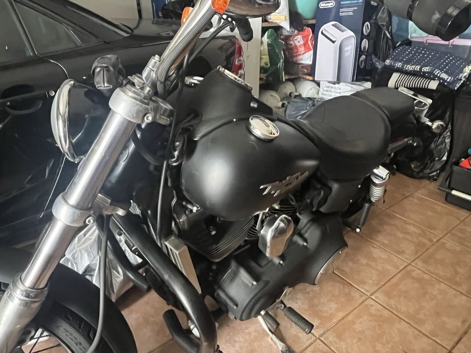 Harley dyna street bob
