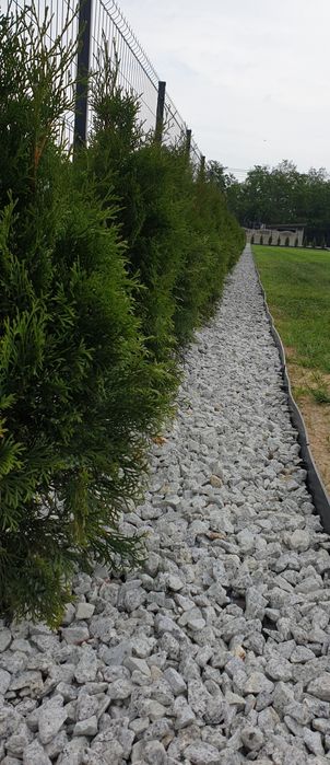 Tuja szmaragd 110 cm! Promocja!