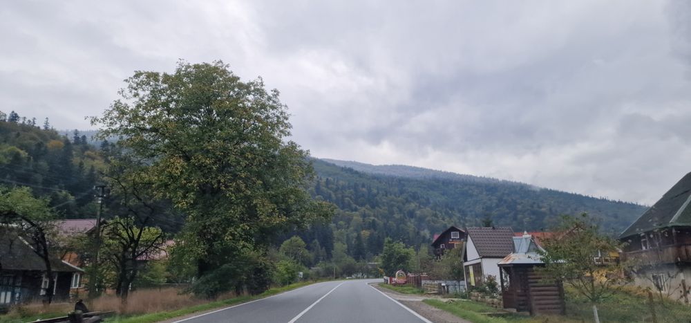 Відпочинок в карпатах