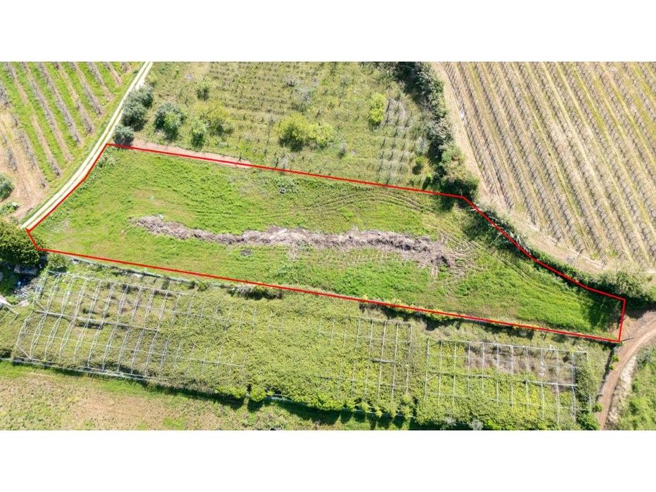 Terreno Rustico em Évora de Alcobaça