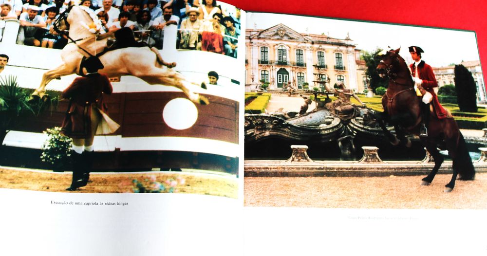 Arte Equestre: Cavalo Lusitano - O Filho do Vento, livro 1993