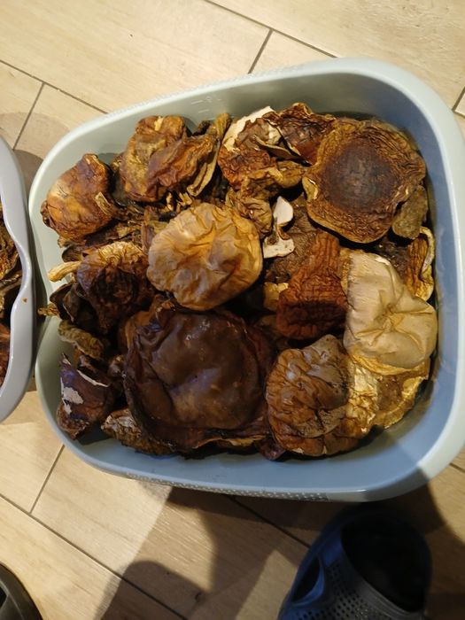 Grzyby  Prawdziwki suszone